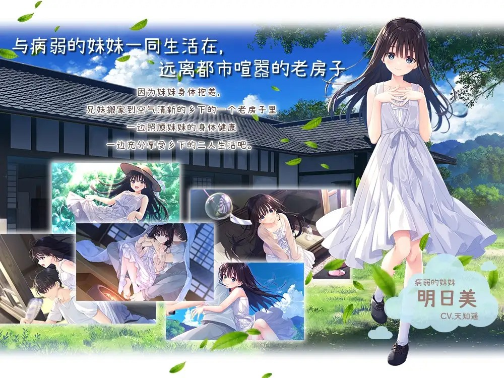 【日系精品RPG/纯爱/妹妹】痴情哥哥与病弱妹妹的乡间生活 官方中文步兵版+Append1-5{全DLC}+存档【PC/4.03G】0001-牛牛资源库